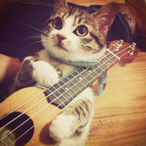 人妖与女人性校配视频
